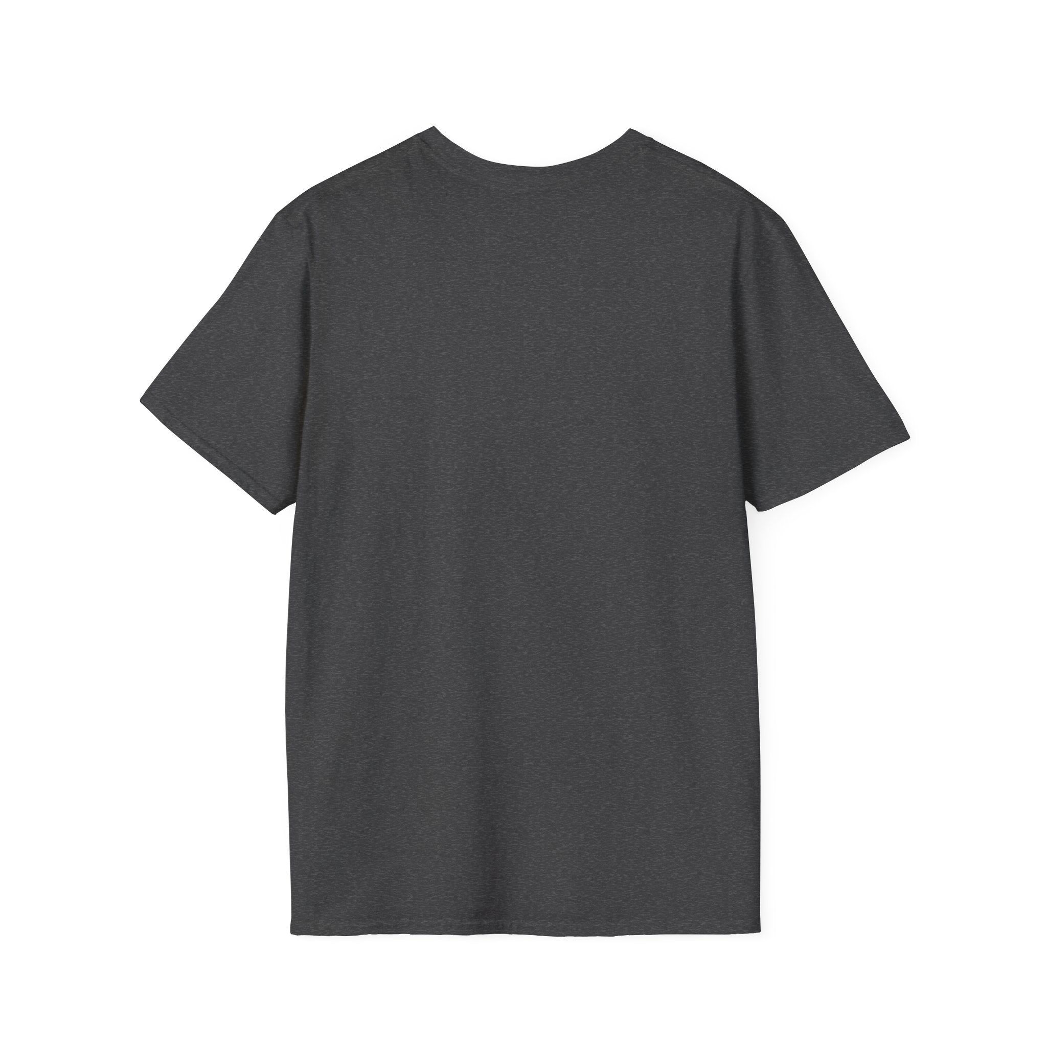 Mountains and birds T-Shirt